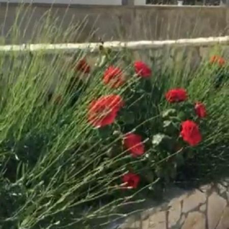 Miro Apartmani Ražanac 외부 사진