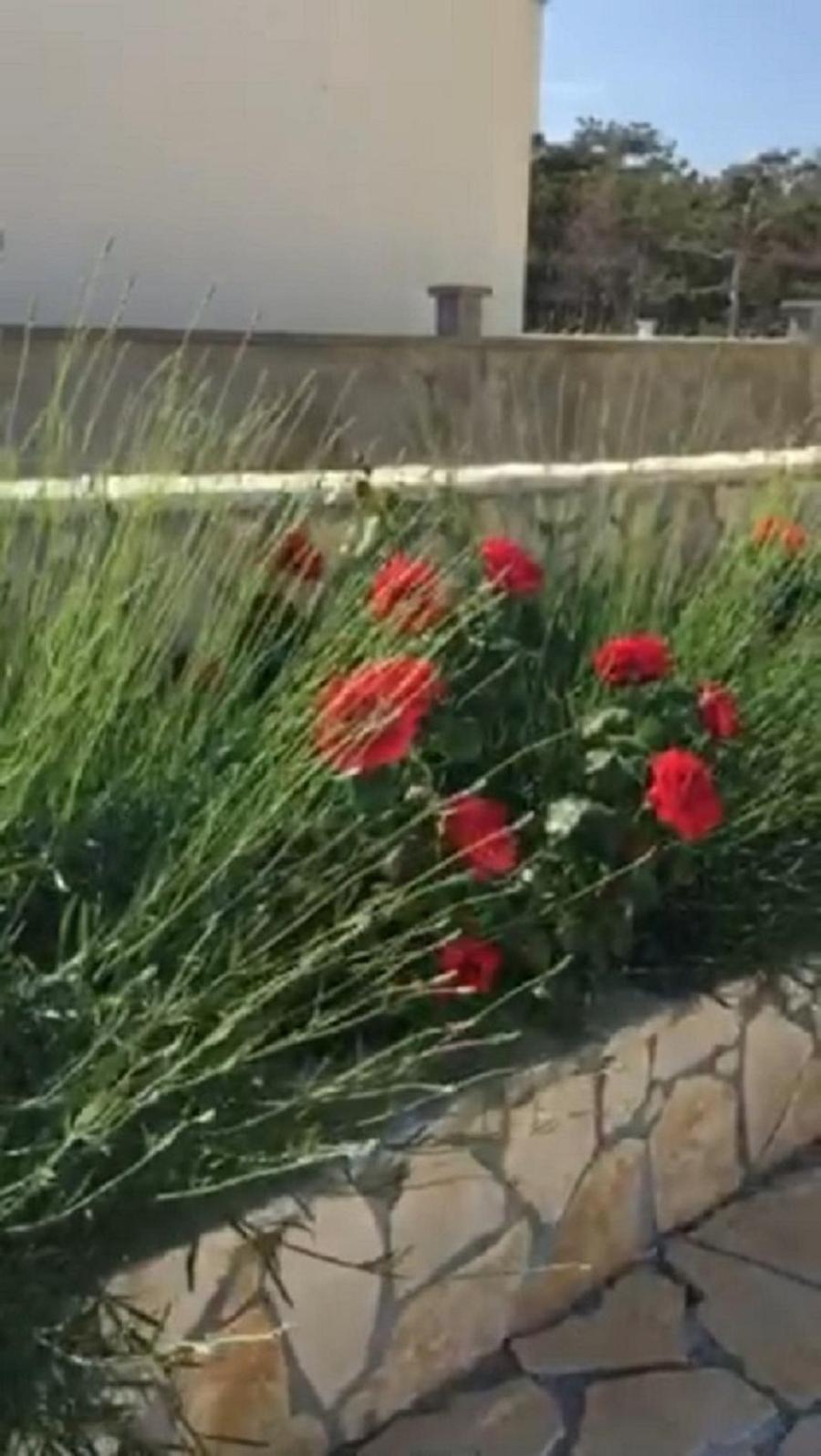 Miro Apartmani Ražanac 외부 사진