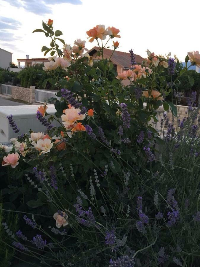 Miro Apartmani Ražanac 외부 사진